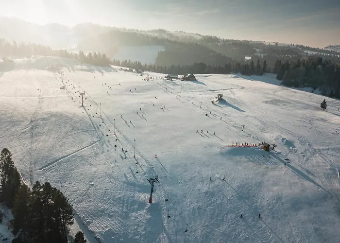 Apartament Nasze Bukowinki *